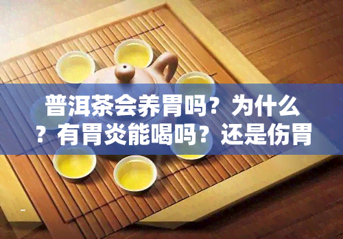 普洱茶会养胃吗？为什么？有胃炎能喝吗？还是伤胃？