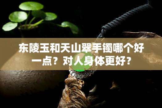 东陵玉和天山翠手镯哪个好一点？对人身体更好？