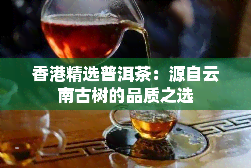 精选普洱茶：源自云南古树的品质之选