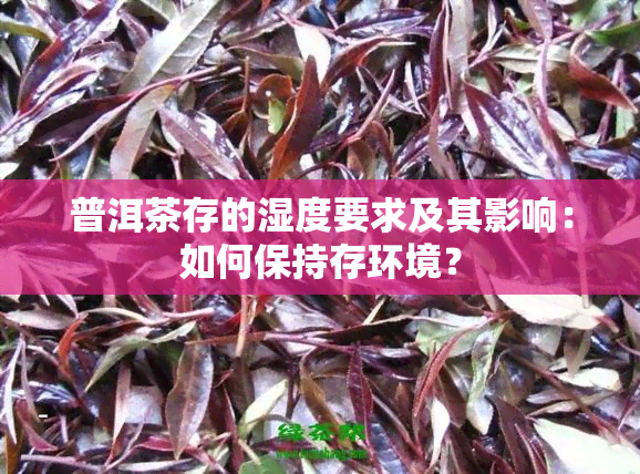 普洱茶存的湿度要求及其影响：如何保持存环境？