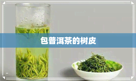 包普洱茶的树皮