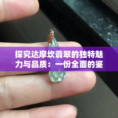 探究达摩坎翡翠的独特魅力与品质：一份全面的鉴别指南