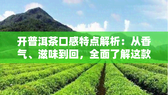 开普洱茶口感特点解析：从香气、滋味到回，全面了解这款茶的魅力所在