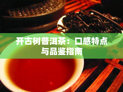 开古树普洱茶：口感特点与品鉴指南