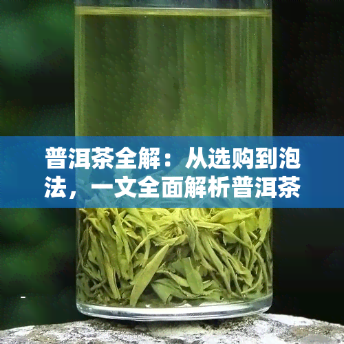 普洱茶全解：从选购到泡法，一文全面解析普洱茶知识