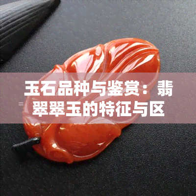 玉石品种与鉴赏：翡翠翠玉的特征与区别