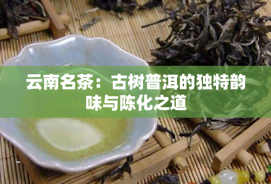 云南名茶：古树普洱的独特韵味与陈化之道