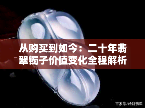 从购买到如今：二十年翡翠镯子价值变化全程解析，了解其市场现状及投资潜力