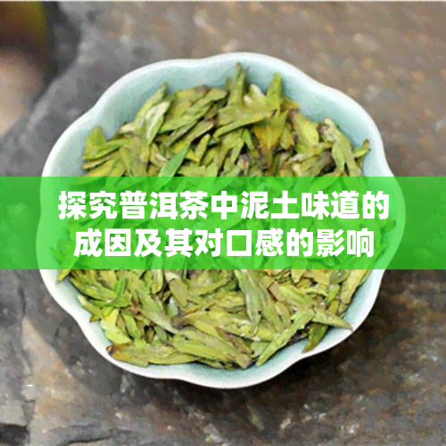 探究普洱茶中泥土味道的成因及其对口感的影响