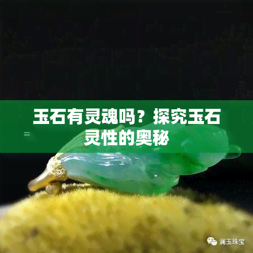 玉石有灵魂吗？探究玉石灵性的奥秘