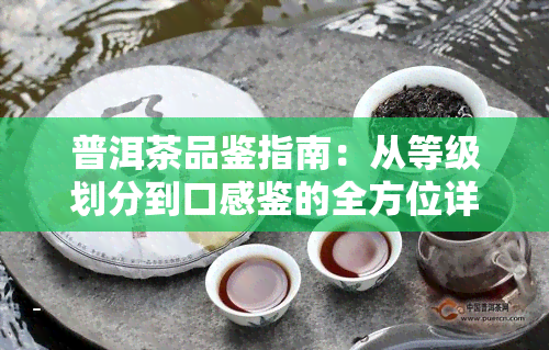 普洱茶品鉴指南：从等级划分到口感鉴的全方位详解