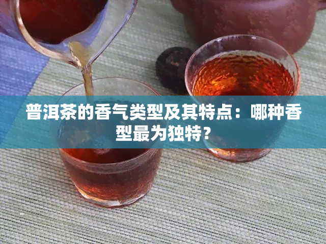 普洱茶的香气类型及其特点：哪种香型最为独特？