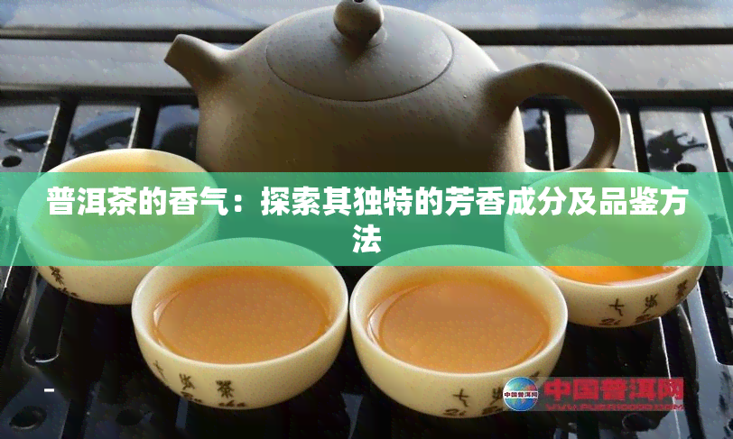 普洱茶的香气：探索其独特的芳香成分及品鉴方法