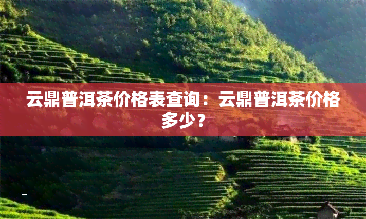 云鼎普洱茶价格表查询：云鼎普洱茶价格多少？