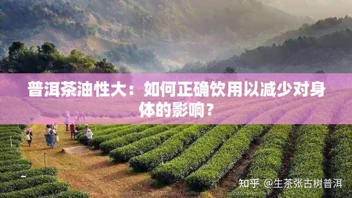 普洱茶油性大：如何正确饮用以减少对身体的影响？