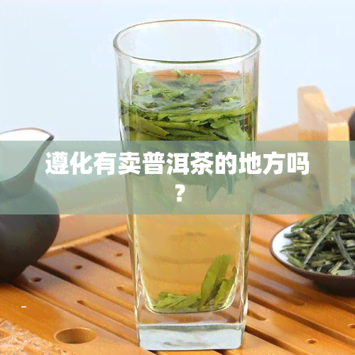 遵化有卖普洱茶的地方吗？