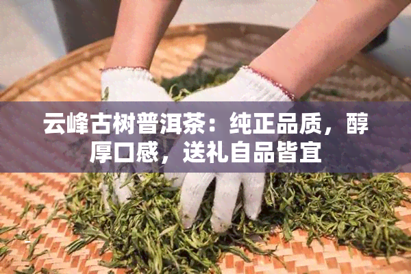 云峰古树普洱茶：纯正品质，醇厚口感，送礼自品皆宜