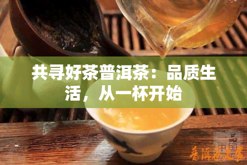 共寻好茶普洱茶：品质生活，从一杯开始