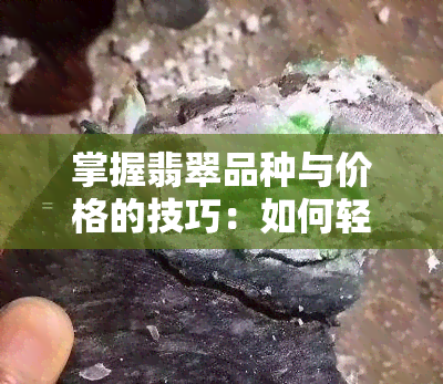 掌握翡翠品种与价格的技巧：如何轻松看懂不同等级的价值