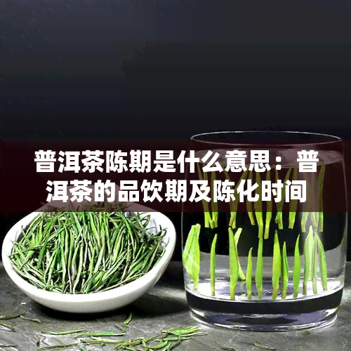 普洱茶陈期是什么意思：普洱茶的品饮期及陈化时间探讨