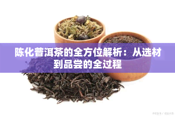 陈化普洱茶的全方位解析：从选材到品尝的全过程