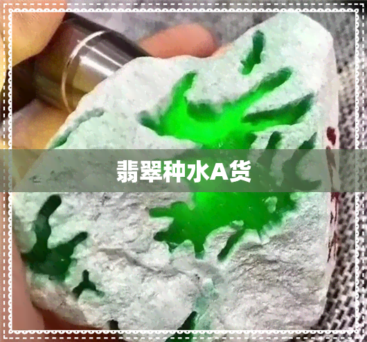 翡翠种水A货