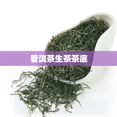 普洱茶生茶茶底