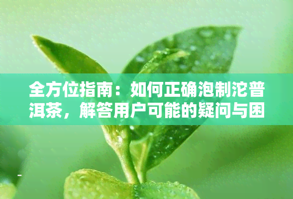 全方位指南：如何正确泡制沱普洱茶，解答用户可能的疑问与困惑