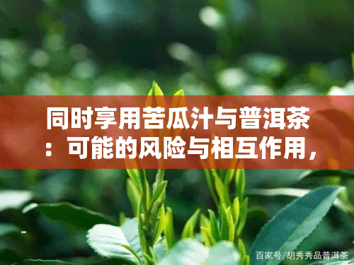 同时享用苦瓜汁与普洱茶：可能的风险与相互作用，以及饮用时间