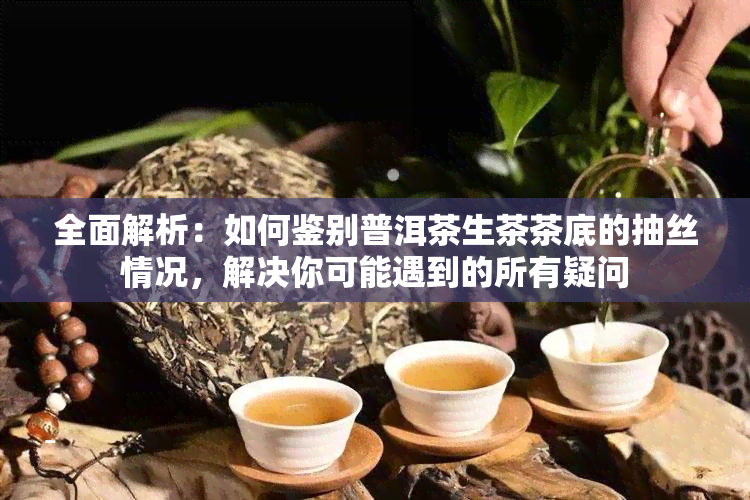 全面解析：如何鉴别普洱茶生茶茶底的抽丝情况，解决你可能遇到的所有疑问