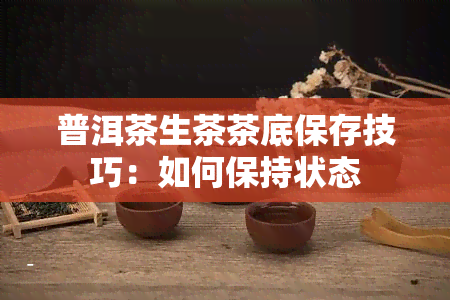 普洱茶生茶茶底保存技巧：如何保持状态