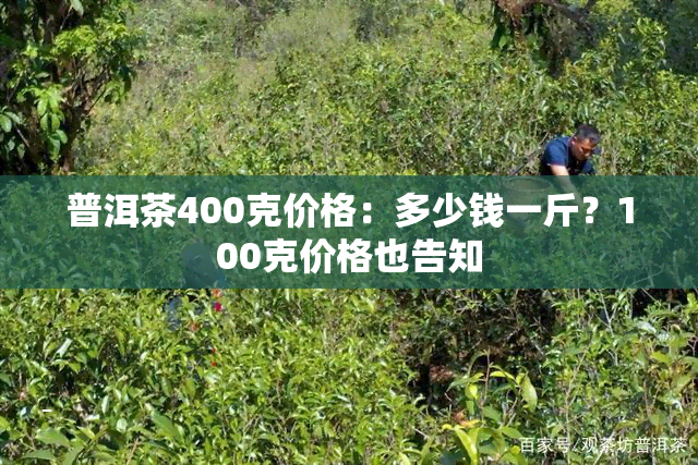 普洱茶400克价格：多少钱一斤？100克价格也告知