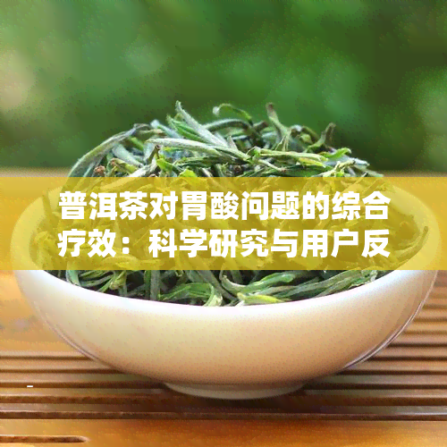 普洱茶对胃酸问题的综合疗效：科学研究与用户反馈分析