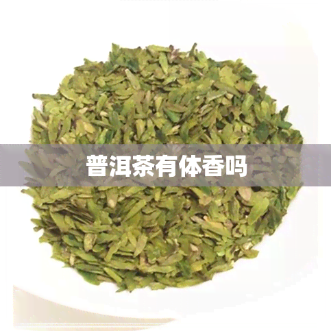 普洱茶有体香吗