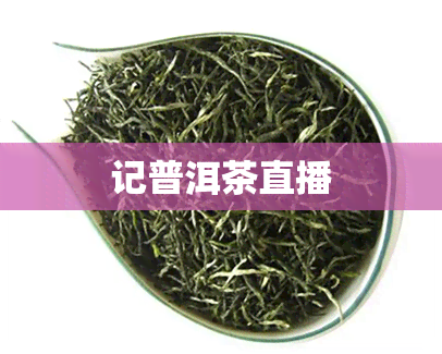 记普洱茶直播