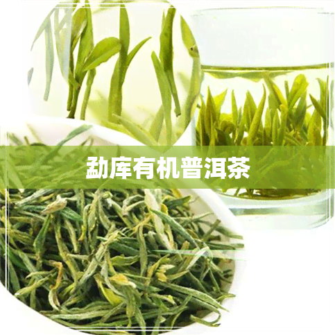 勐库有机普洱茶