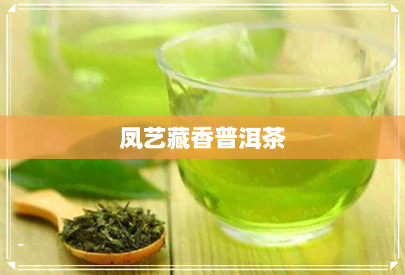 凤艺藏香普洱茶