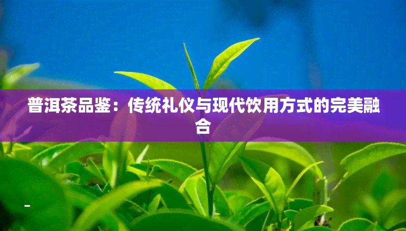 普洱茶品鉴：传统礼仪与现代饮用方式的完美融合