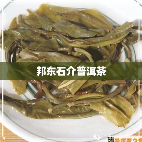 邦东石介普洱茶