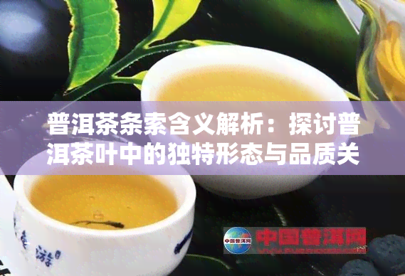 普洱茶条索含义解析：探讨普洱茶叶中的独特形态与品质关系