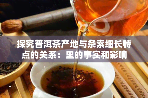 探究普洱茶产地与条索细长特点的关系：里的事实和影响