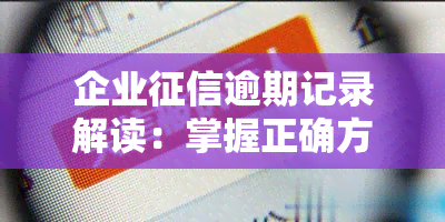 企业逾期记录解读：掌握正确方法查看详细报告