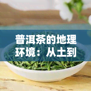 普洱茶的地理环境：从土到气候，探讨影响茶叶品质的关键因素