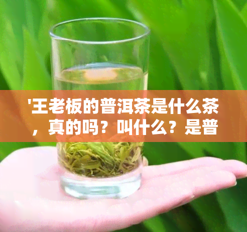 '王老板的普洱茶是什么茶，真的吗？叫什么？是普洱茶茶王！'