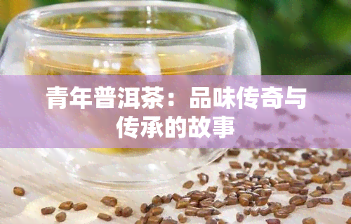 青年普洱茶：品味传奇与传承的故事