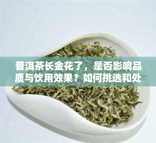 普洱茶长金花了，是否影响品质与饮用效果？如何挑选和处理这种茶叶？