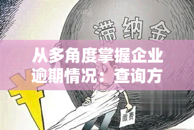 从多角度掌握企业逾期情况：查询方法、影响因素与解决策略