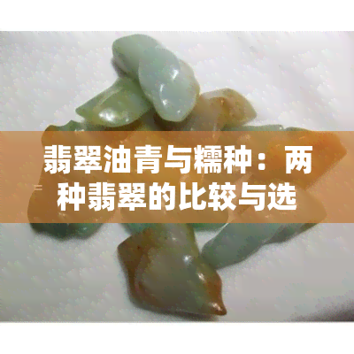 翡翠油青与糯种：两种翡翠的比较与选择，全面解析