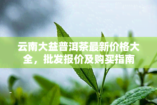 云南大益普洱茶最新价格大全，批发报价及购买指南