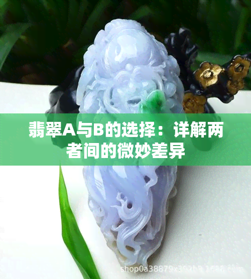 翡翠A与B的选择：详解两者间的微妙差异